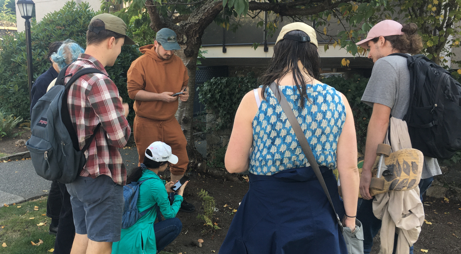 Looking for birch boletes in 2022