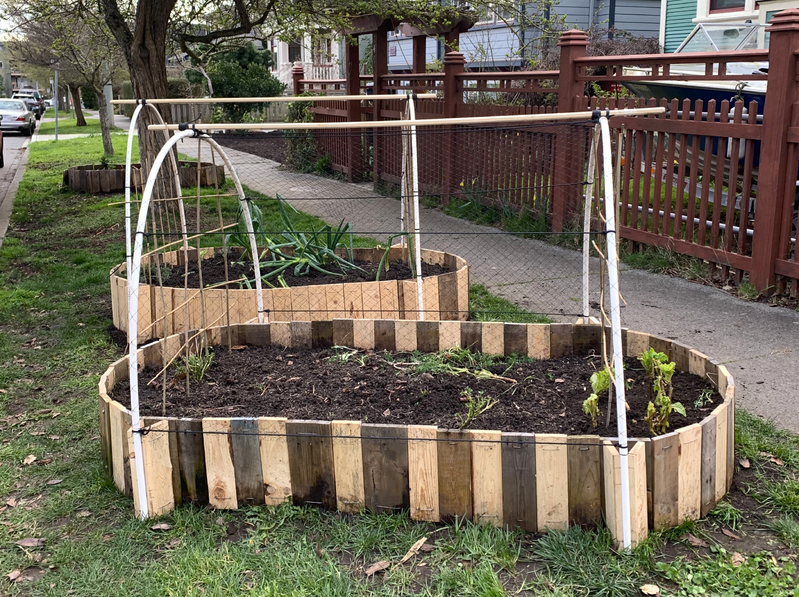 Raised bed design on March 5th, 2026