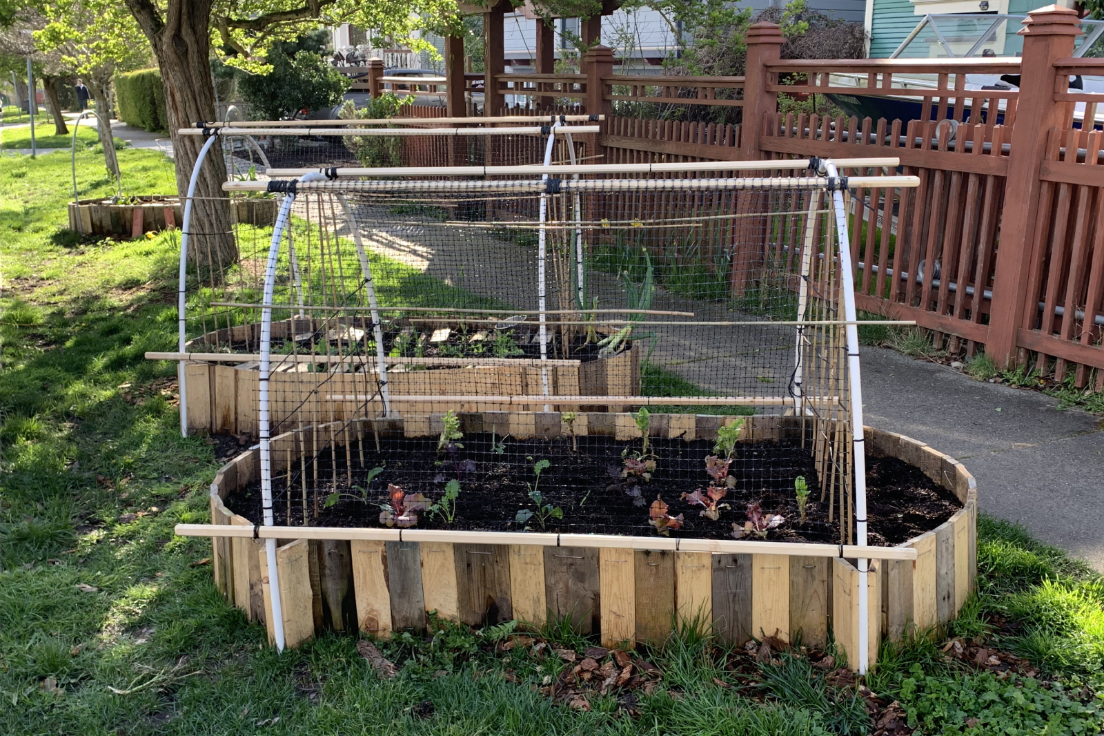 Raised bed design on March 5th, 2026