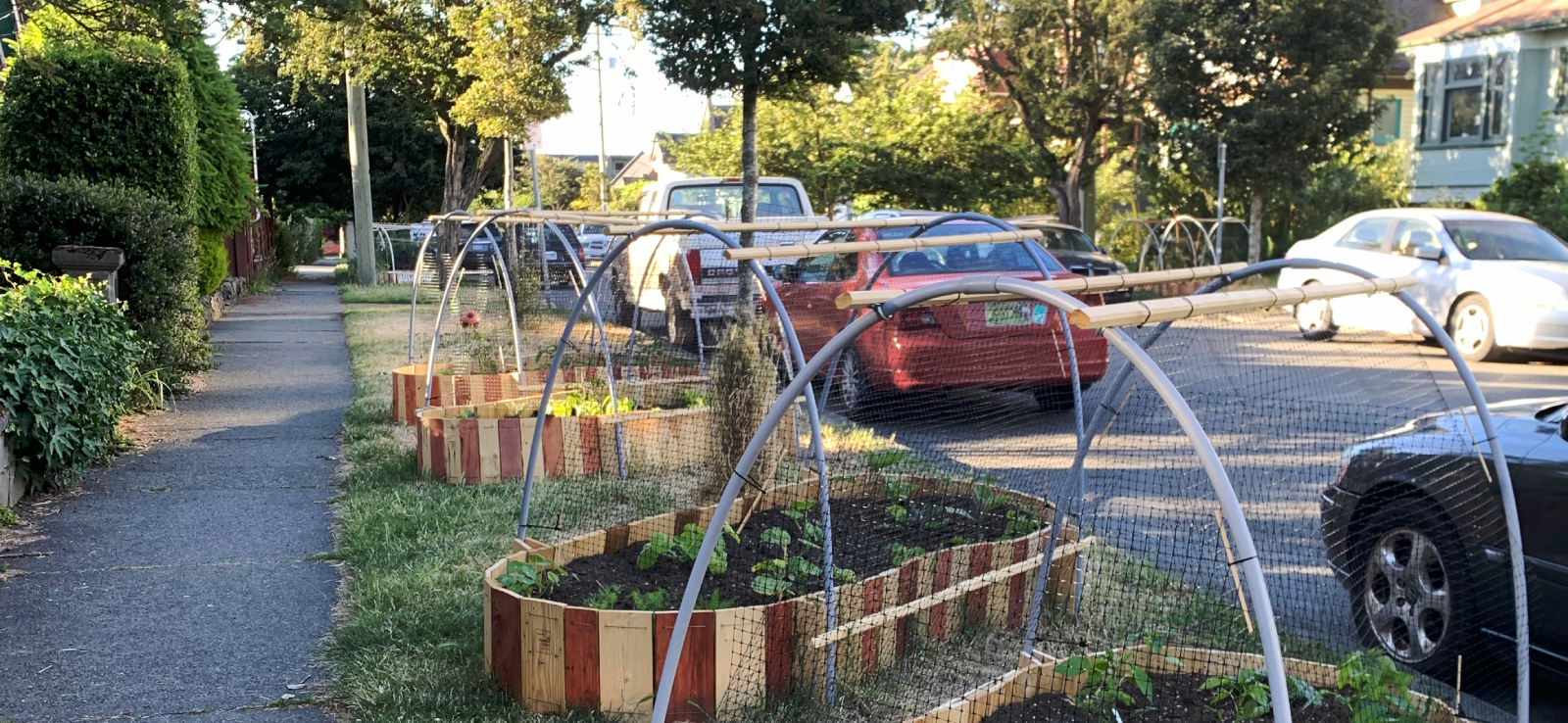 The first four Curbside beds