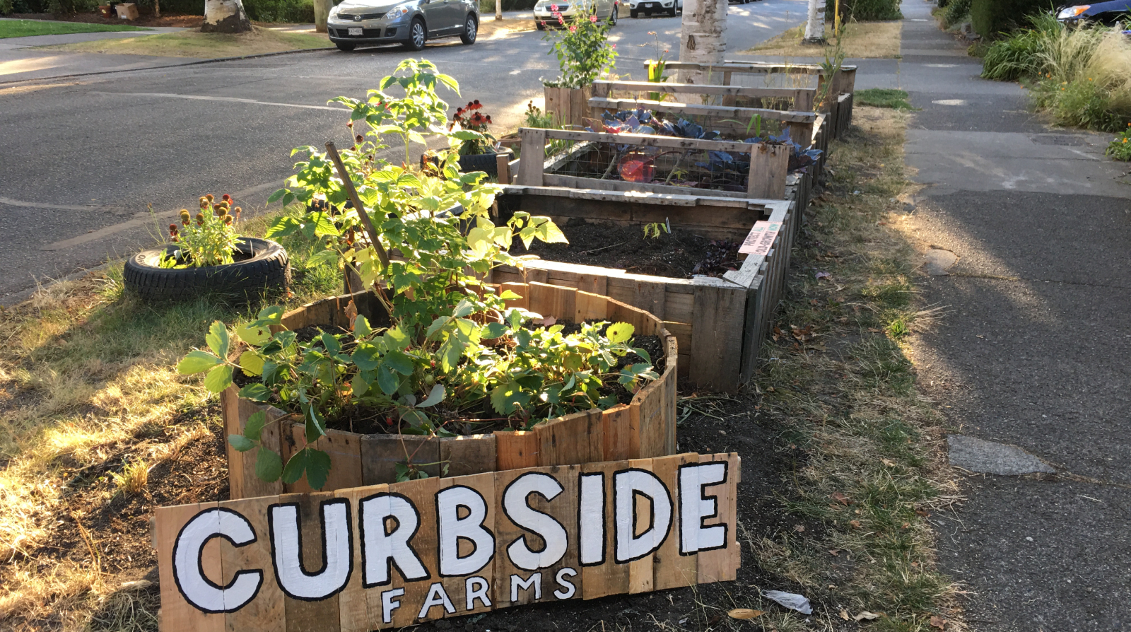 Curbside sign and selection of different bed designs